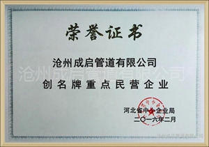 重点民营企业 重点民营企业