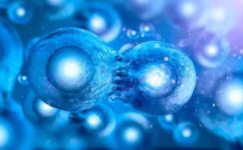 《Cell》子刊：瑞士科學家用基因療法使干細胞返老還童