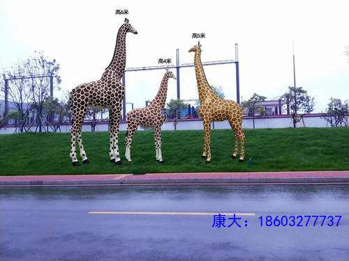 02_202350_2.jpg