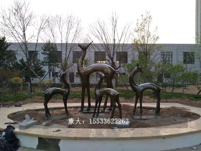 mmexport1558418913175.jpg
