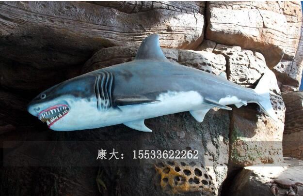 qq截图20180409120107.jpg