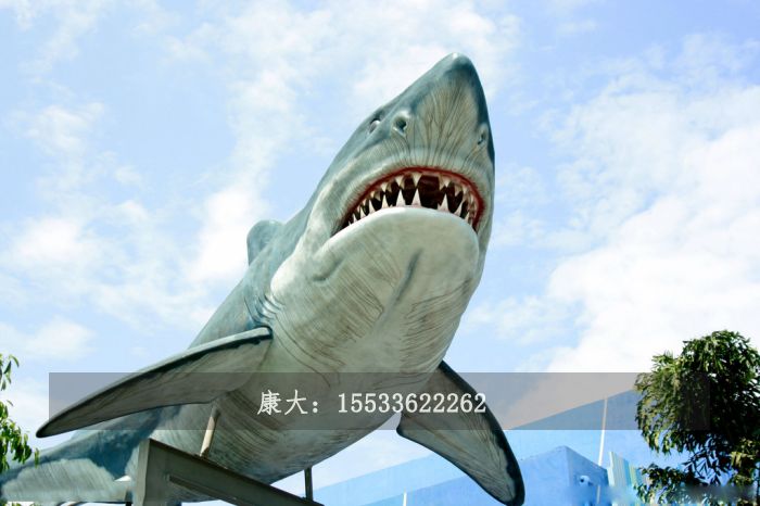 鲨鱼雕塑6.jpg