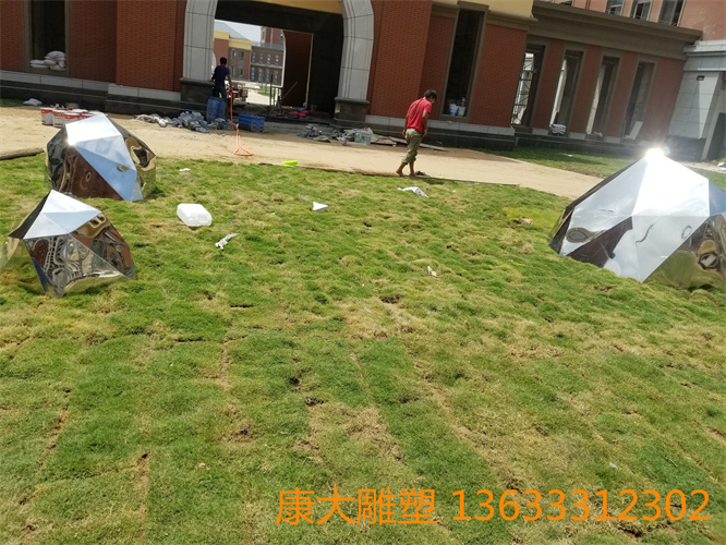 20180815_112117.jpg