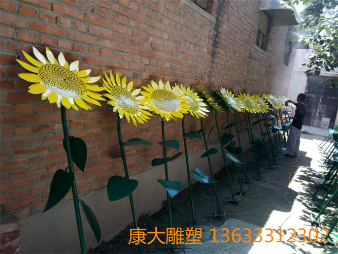 向日葵3.jpg