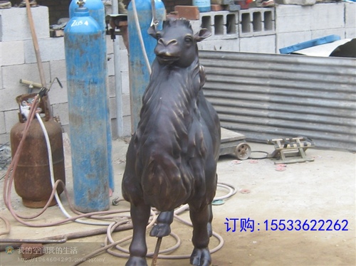 骆驼.jpg