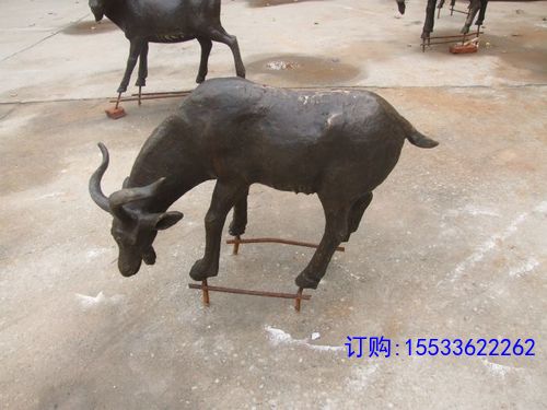 dscf9171.jpg