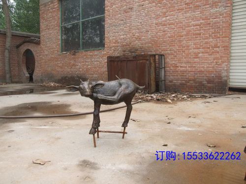 dscf9174.jpg