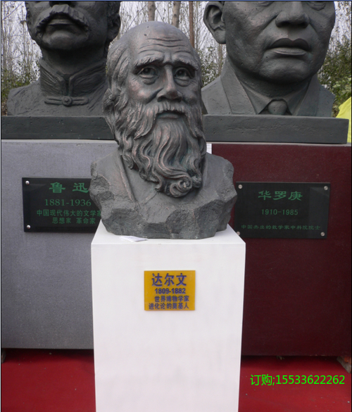 IMG_5364.PNG.jpg
