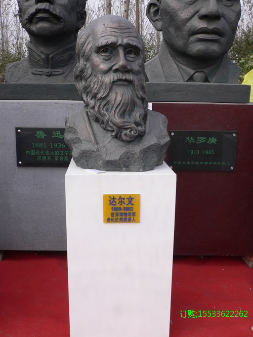 旋转 P1020851.JPG