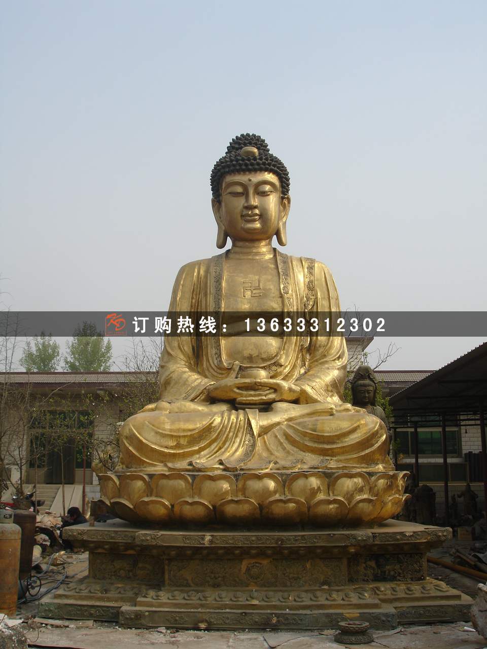 照片 008.jpg