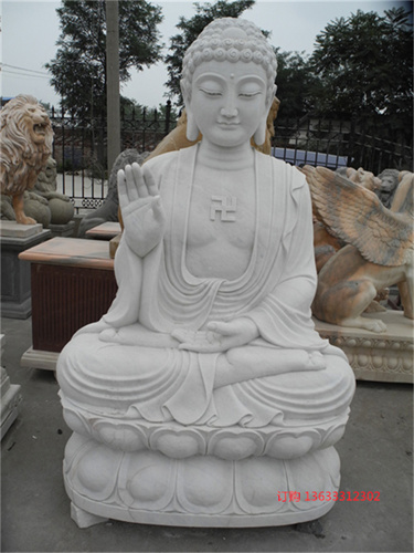 DSCN1763.jpg