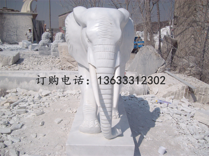 ALIM2605.jpg