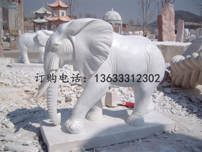 ALIM2606.jpg