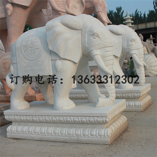 IMG_5778.jpg