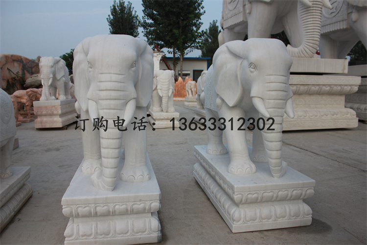 IMG_5787.jpg