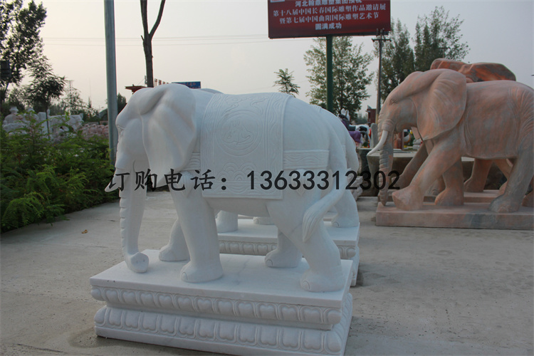IMG_5789.jpg