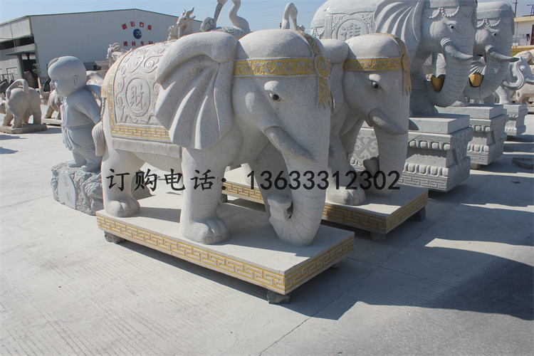 IMG_6478.jpg