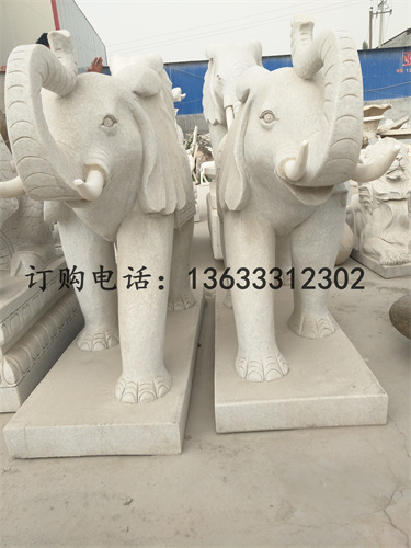 IMG20170504170145.jpg