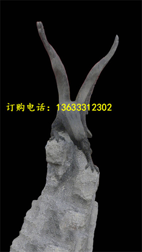 23545.jpg