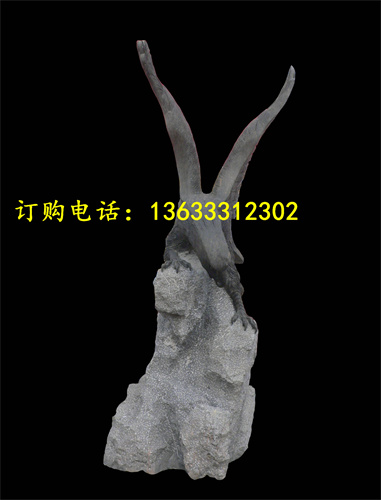 dw (26).jpg