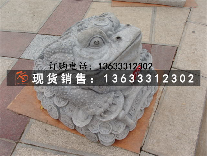 金蟾.jpg