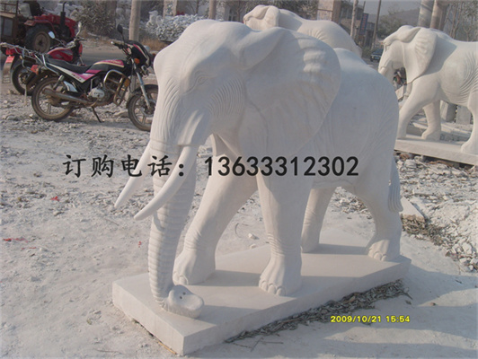S73R1825.jpg