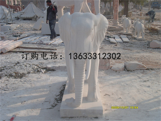 S73R1826.jpg