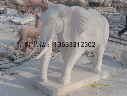 S73R1827.jpg