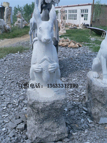 17435.jpg