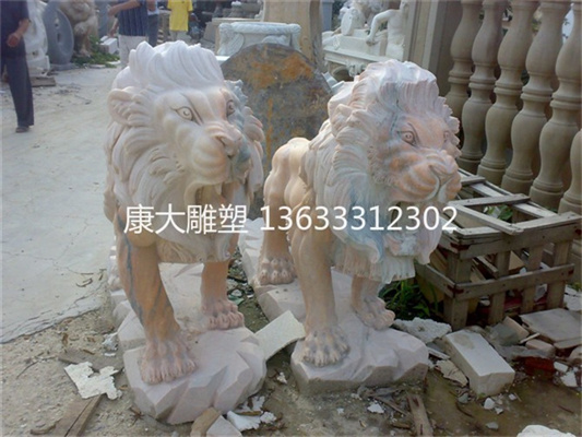 20090829259.jpg