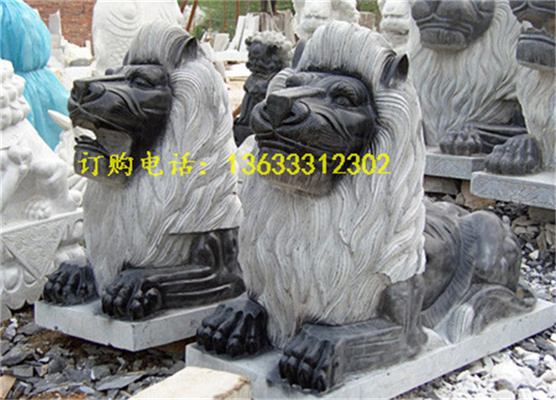 p1.jpg