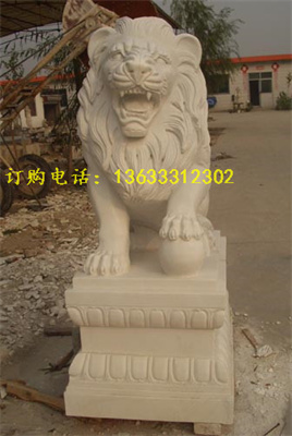 squat-10.jpg