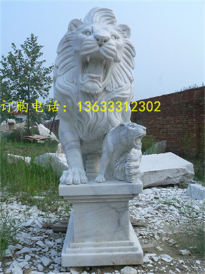 照片 003.jpg