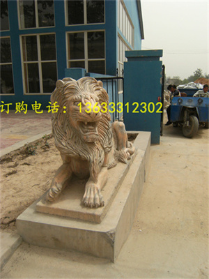 照片 234.jpg
