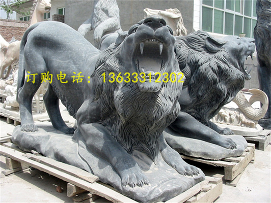 照片 257.jpg