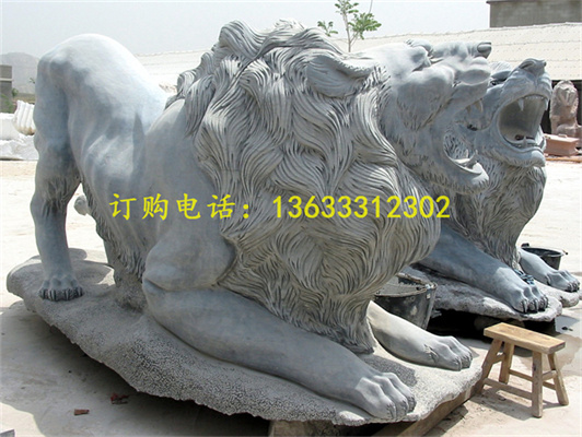 照片 262.jpg