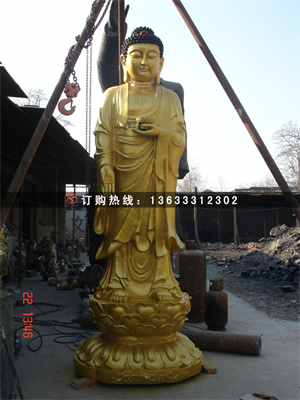 dsc03528.jpg