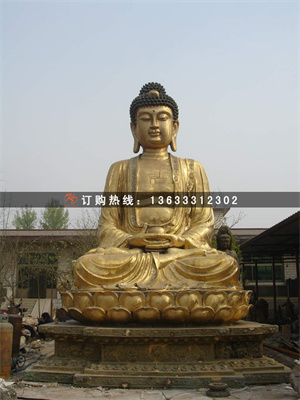 照片 008.jpg