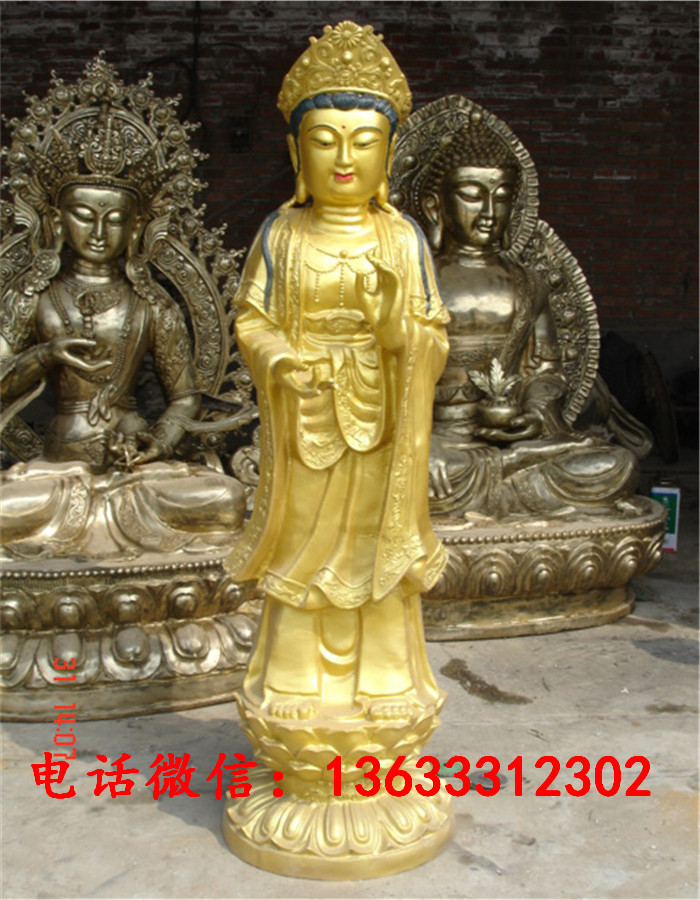 1.6米站世智DSC02823.JPG