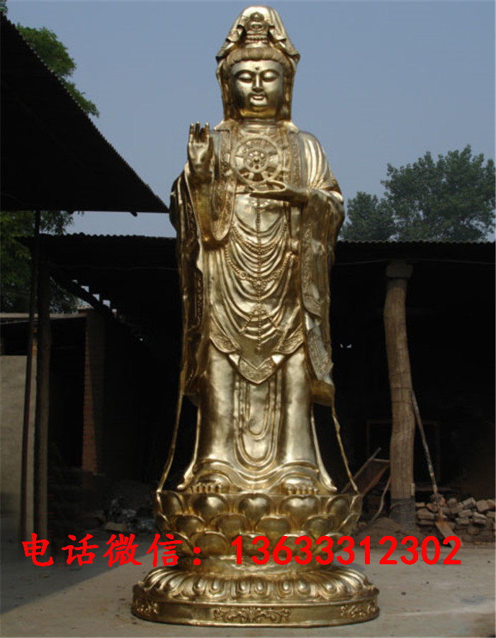 11455.jpg