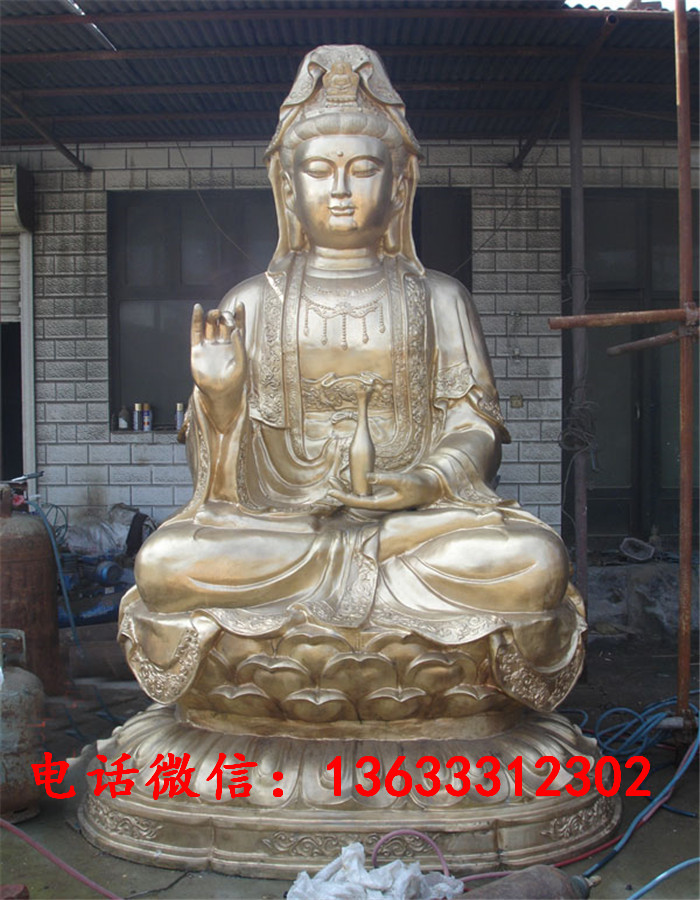11456.jpg