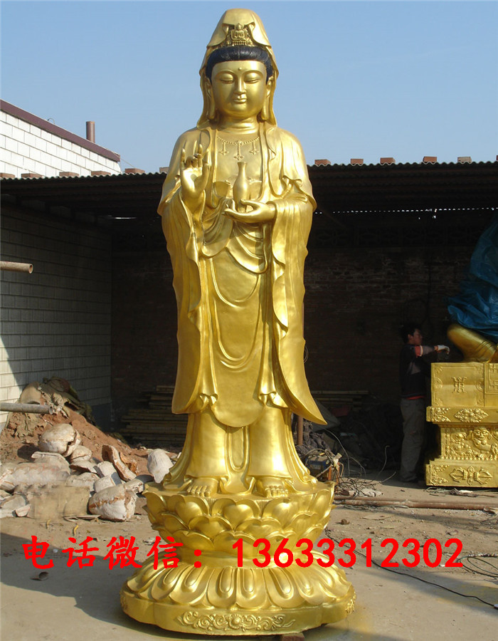 11457.jpg