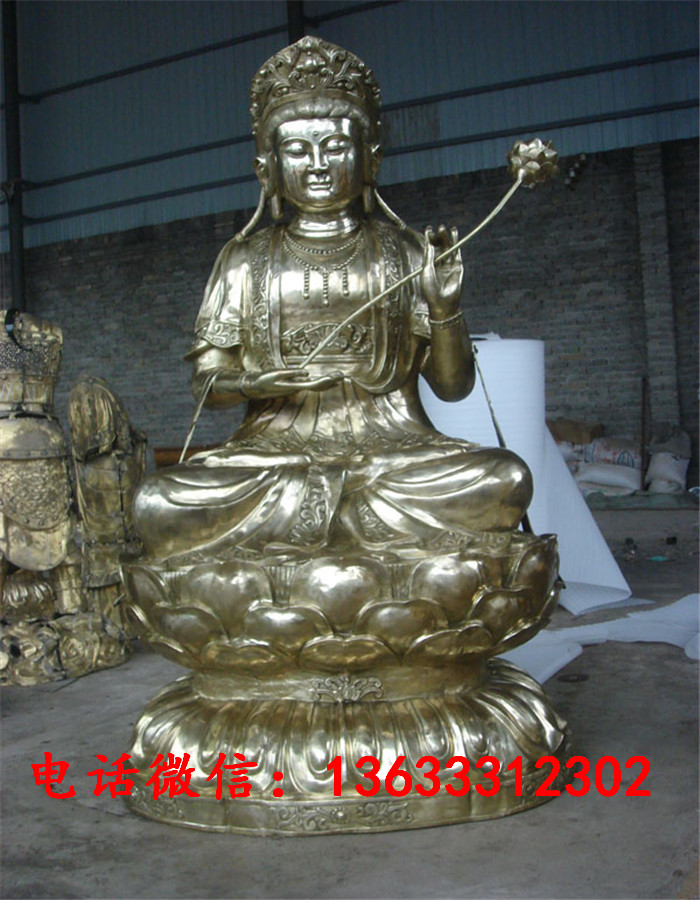 11466.jpg
