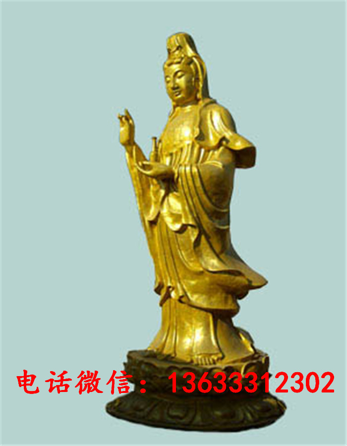 33729.jpg