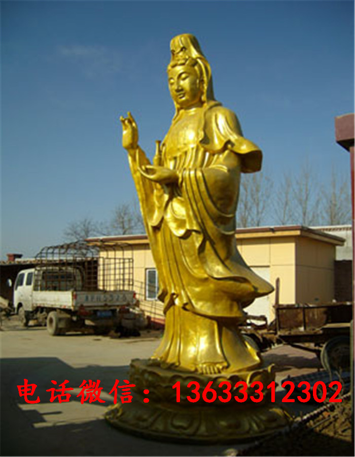 33731.jpg