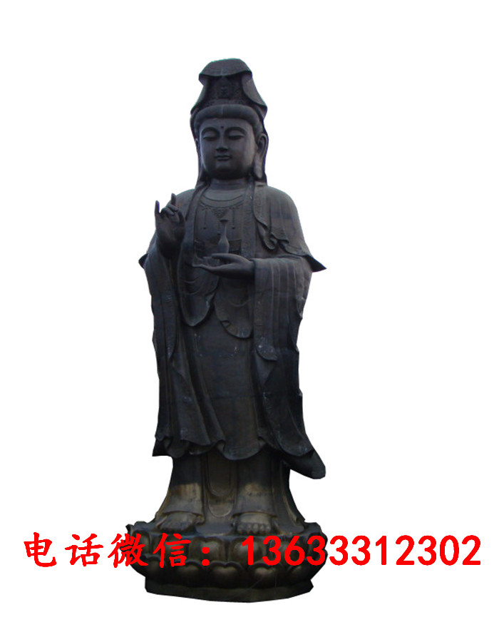 33736.jpg