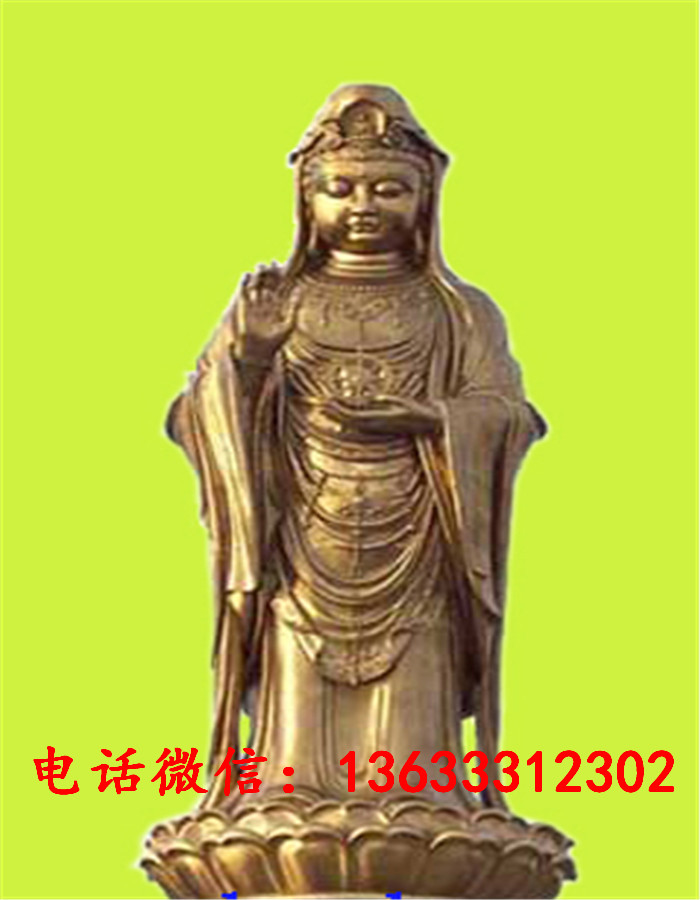 33971.jpg