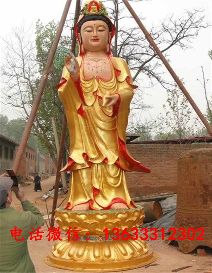 33976.jpg