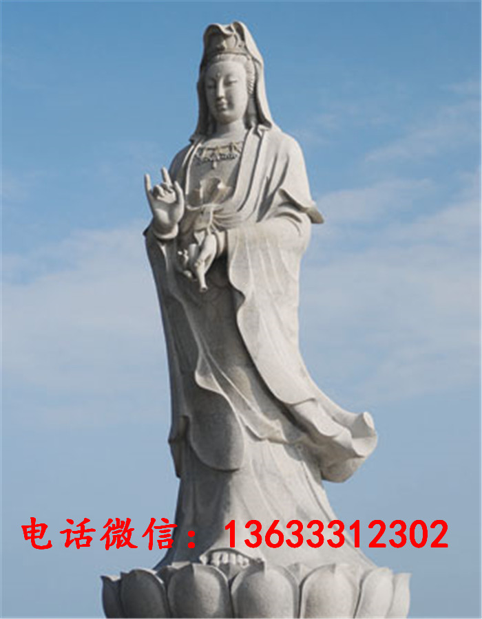 00317.jpg