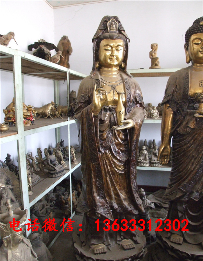 !scf4572.jpg